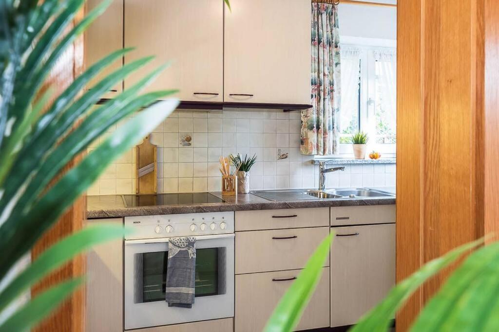 Ferienwohnung Julija Riedheim Hilzingen Exteriér fotografie